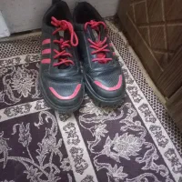 کفش|کیف، کفش، کمربند|گنبد کاووس, |دیوار