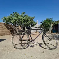 دوچرخه ی قدیمی|دوچرخه، اسکیت، اسکوتر|نی‌ریز, |دیوار