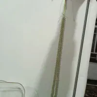 تسبیح شاه مقصود|کلکسیون و سرگرمی|قم, ولیعصر|دیوار