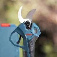 هرس حرفه ای انواع درختان میوه و سایه|خدمات باغبانی و درختکاری|مرودشت, پشت سایپا|دیوار