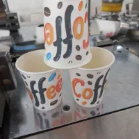 یکبار مصرف
