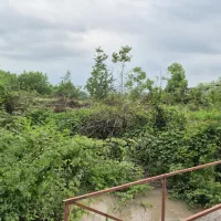 زمین ۵۰۰ متری باغی