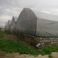 گلخانه