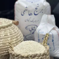 برنج هاشمی