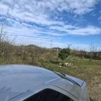 ویلا-چوبی-بر-آسفالت-با-تمام-انشعابات