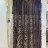 پرده سالم ۵ عدد|پرده، رانر، رومیزی|رشت, پاستوریزه|دیوار