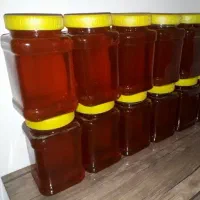 عسل طبیعی کوهستان محصول آذربایجان (سراب)|خوردنی و آشامیدنی|نسیم‌شهر, |دیوار