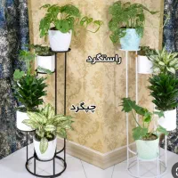 کافه گلدان|گل و گیاه طبیعی|تهران, وصفنارد|دیوار