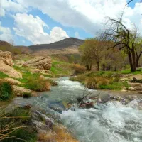 کارمند اداری|استخدام اداری و مدیریت|زرندیه, |دیوار