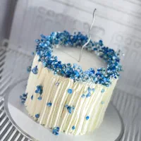 انواع سفارش کیک