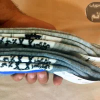جوراب مردانه ساق بلند نظامیان و مناسبتی|لباس|کرمانشاه, |دیوار