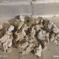 لوازم آکواریوم ماهی