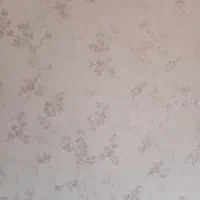 شماسنامه بنام عزیز حبیبی گم شده