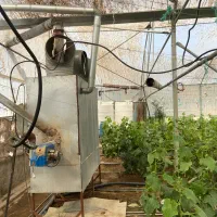 3800 متر سازه گلخانه با پلاستیک و تجهیزات|عمده‌فروشی|شهریار, بکه|دیوار