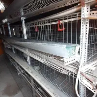 کانکس مرغداری|لوازم جانبی حیوانات|اصفهان, قهاب جنوبی|دیوار