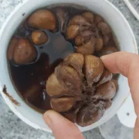 سیر ترشی خانگی ۹۰۰گرم با قیمت مناسب
