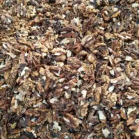 مغز گردوی درجه 2