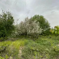 ۲۲۰ متر زمین