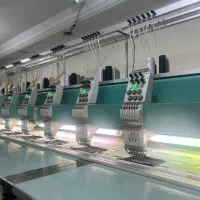 نیروی خانم