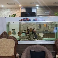 اکواریوم بزرگ با سامپ بغل|ماهی|صدرا-فارس, |دیوار