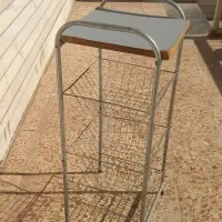 جاسیب زمینی