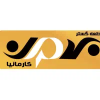 همکار حسابدار خانم