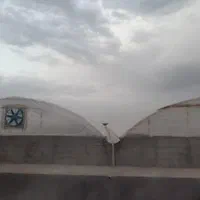فروش گلخانه ۱۱۰۰ متری|فروش دفتر صنعتی، کشاورزی، تجاری|قم, پردیسان|دیوار