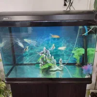 آکواریوم خارجی با میز و ماهی و وسایل کامل|ماهی|لنجان, |دیوار