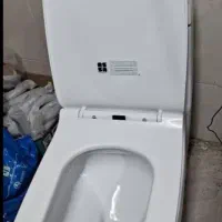 فرنگی ایساتیس