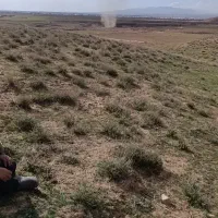 زمین،باغ ویلا