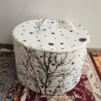 جا نونی فومی