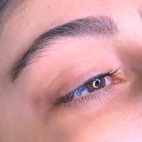 فیبروز ابرو،ریموو تاتو قدیمی|خدمات آرایشگری و زیبایی|آمل, |دیوار