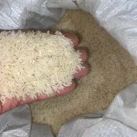 برنج هاشمی درجه ۱ اعلا