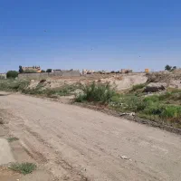 زمین-ناظریه-شاندیز