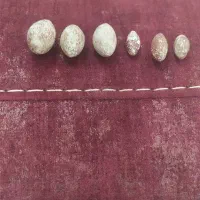 مهره اصلی قدیمی