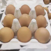 تخم مرغ محلی (تخم مرغ محلی زرده نارنجی)|خوردنی و آشامیدنی|قم, صدوق|دیوار