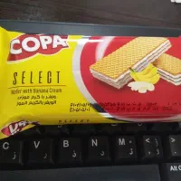 جذب ویزیتور