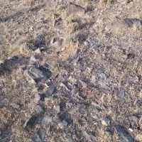 زمین مبارک اباد