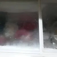 فریزر صندوقی|یخچال و فریزر|سوسنگرد, |دیوار