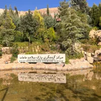 مراقب اقا و خانم، کارشناس ارشد روانشناسی،حراست