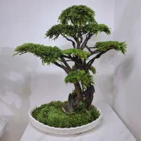 بنسای و درخت جاودان با خزه و گل طبیعی بدون مراقبت|گل مصنوعی|تهران, بهارستان|دیوار