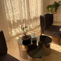 فروش ست مبلمان نیوکلاسیک ۸نفره|مبلمان خانگی و میز عسلی|شیراز, تپه تلویزیون|دیوار