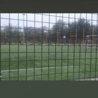 شماره چمن مصنوعی