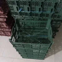 فروش سبد ۸ کیلویی سیب