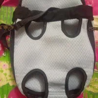 آغوشی سگ
