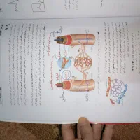 کتاب و جزوه کنکور 1405 قضاتی، عظیمی، فراهانی، کرمی|کتاب و مجله آموزشی|پره‌سر, |دیوار