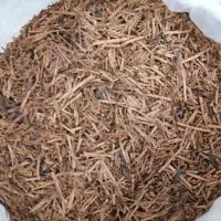 چایی قلمی بهاره لاهیجان