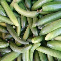 ارزان سرای میوه و تره بار