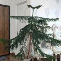 فروش گل بزرگ