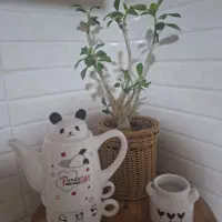 دکوری فانتزی